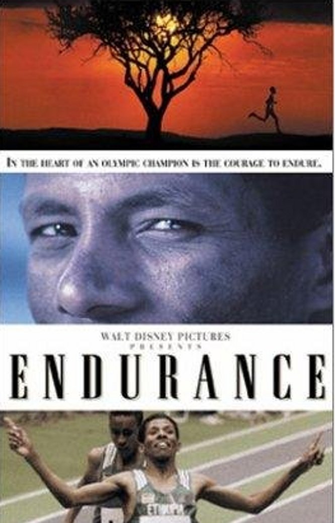 Poster for the movie "Endurance"