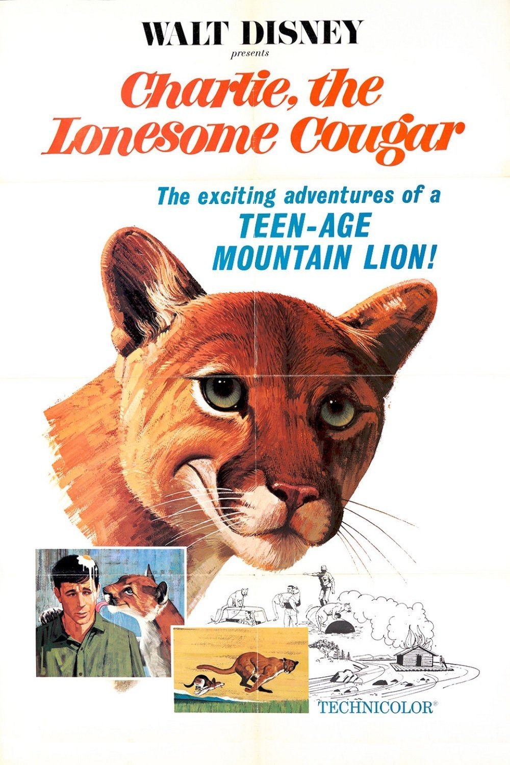 Poster for the movie "Charlie, the Lonesome Cougar"