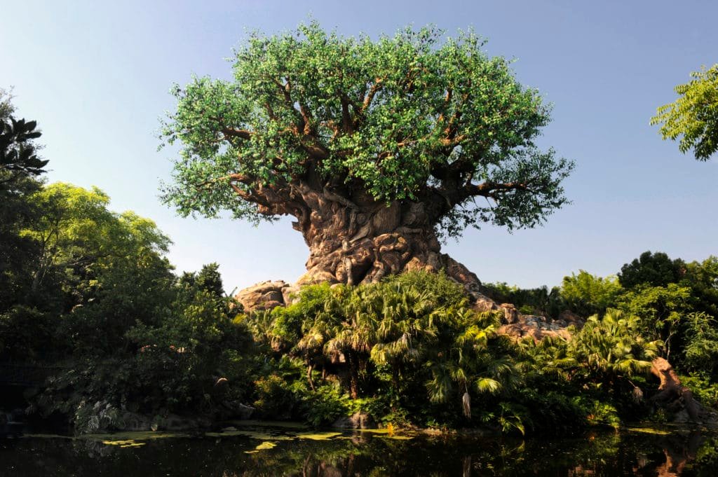 List of Lands in Animal Kingdom at Walt Disney World