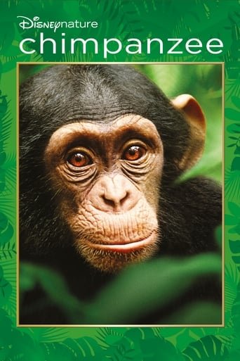 Poster for the movie "Chimpanzee"