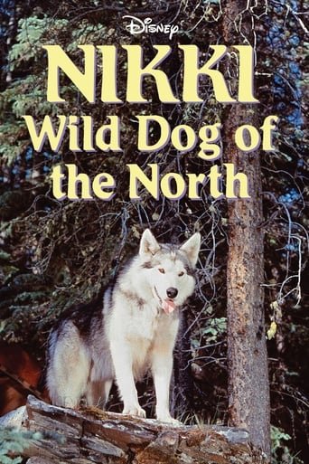 Nikki: Wild Dog of the North