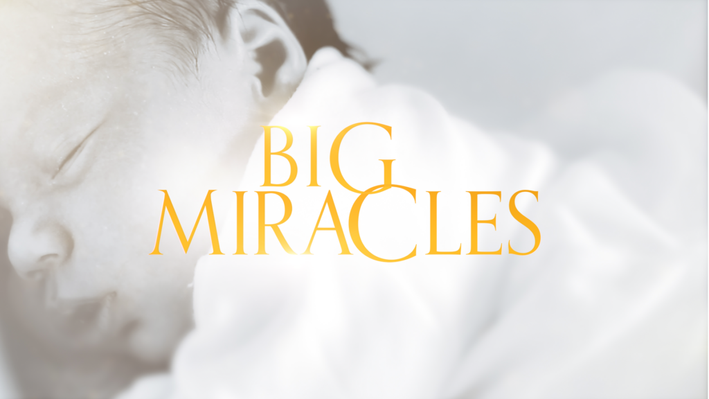 Big Miracles season 2