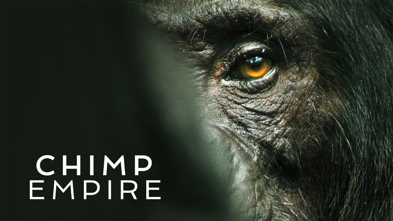 Chimp Empire season 2