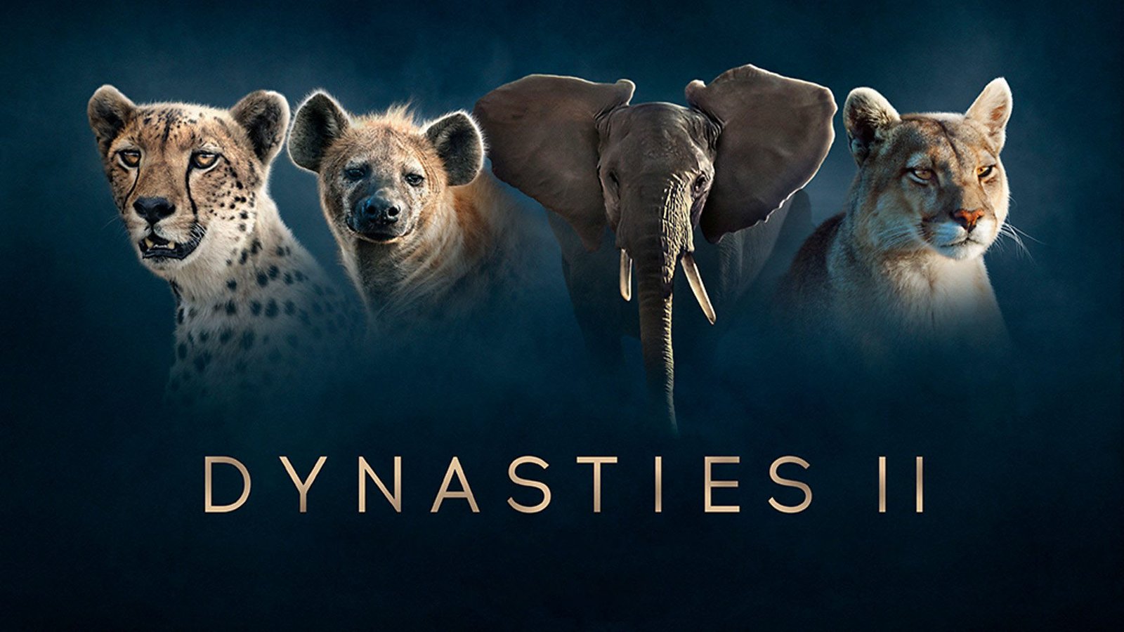 Dynasties series 3