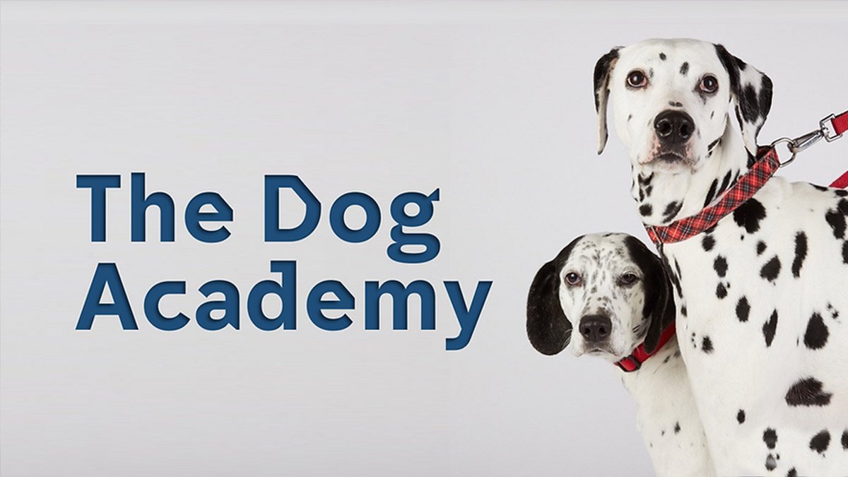 The Dog Academy series 2
