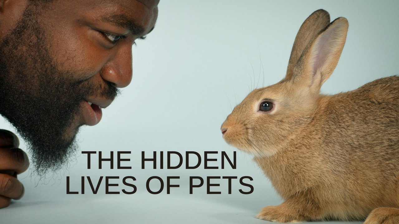 The Hidden Lives of Pets season 2