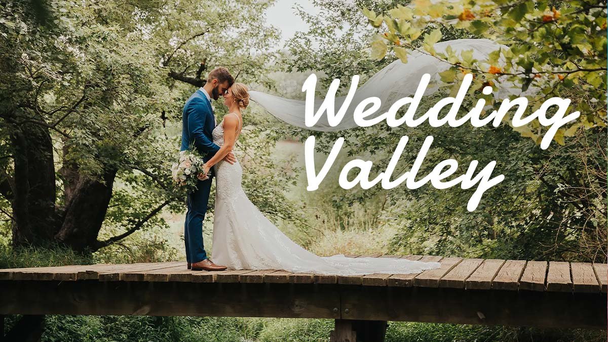 Wedding Valley series 2