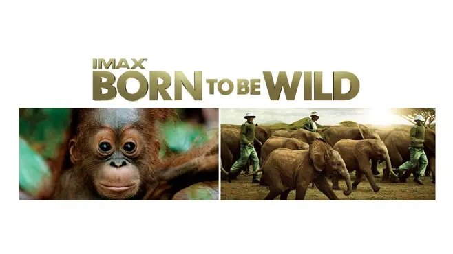 Born to Be Wild season 1