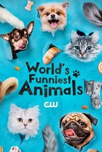 World’s Funniest Animals â€“ Season 4, Episode 5 Release Date & Time, Cast and Where to Watch ?