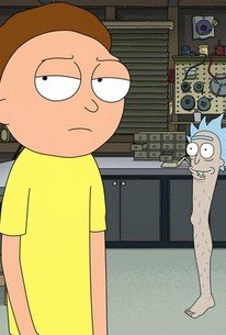 Rick and Morty: Season 7, Episode 9 Release Date & Time, Cast and Where to Watch ?