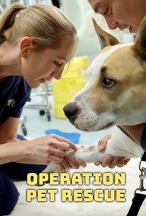 Operation: Pet Rescue â€“ Season 1, Episode 5 Release Date & Time, Cast and Where to Watch ?