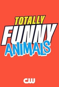 Totally Funny Animals â€“ Season 1, Episode 3 Release Date & Time, Cast and Where to Watch ?