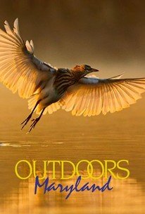 Outdoors Maryland â€“ Season 35, Episode 6 Release Date & Time, Cast and Where to Watch ?