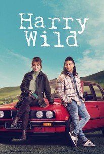 Harry Wild â€“ Season 3, Episode 5 Release Date & Time, Cast and Where to Watch ?